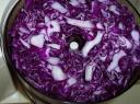 slaw-tomatoes-004.JPG