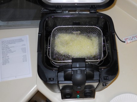Fryer 011