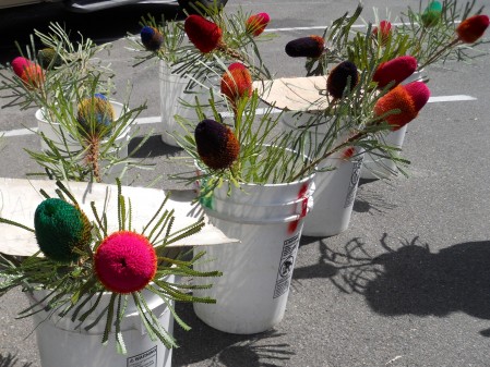Farmer's Market Flowers