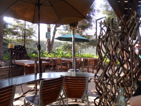 Old Vine Cafe 021