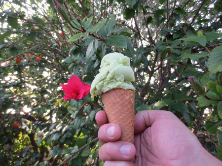 Avocado Ice Cream