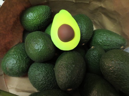 Avocados 009