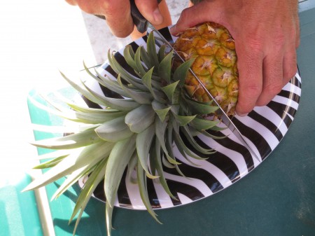 Pineapple 061