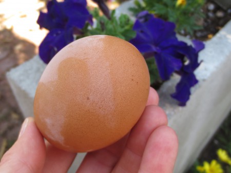 Frozen Egg 003