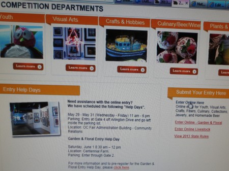 OC Fair Competition Info 013
