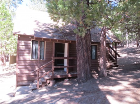 Sequoia 007