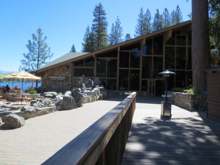 Sequoia 019