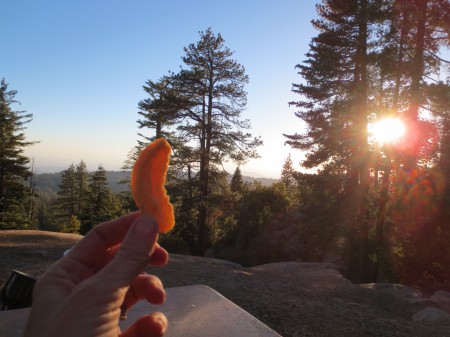 Sequoia 033