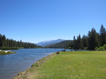 Sequoia 038