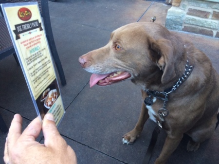 Leon at Lazy Dog Cafe