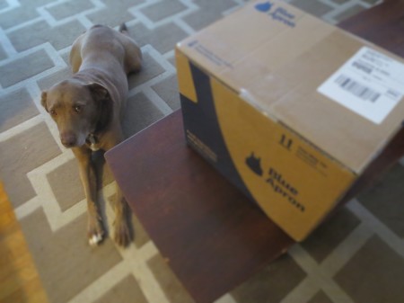 Leon and Blue Apron