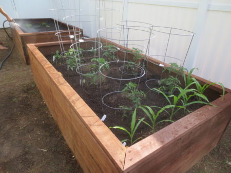 Planters
