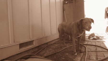 Leon and Cesar