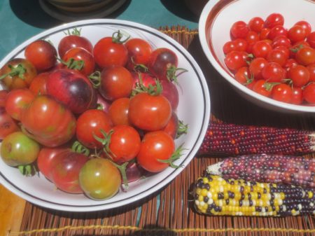 Home Grown Tomatoes